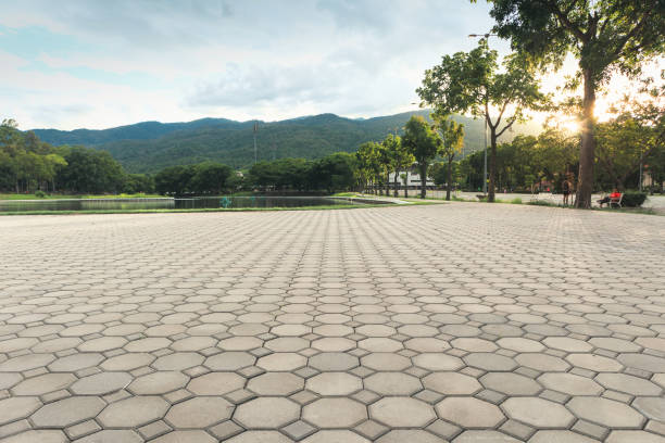 Reliable Albion, PA Driveway Pavers Solutions