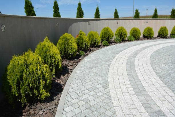 Best Driveway Repair Near Me  in Albion, PA